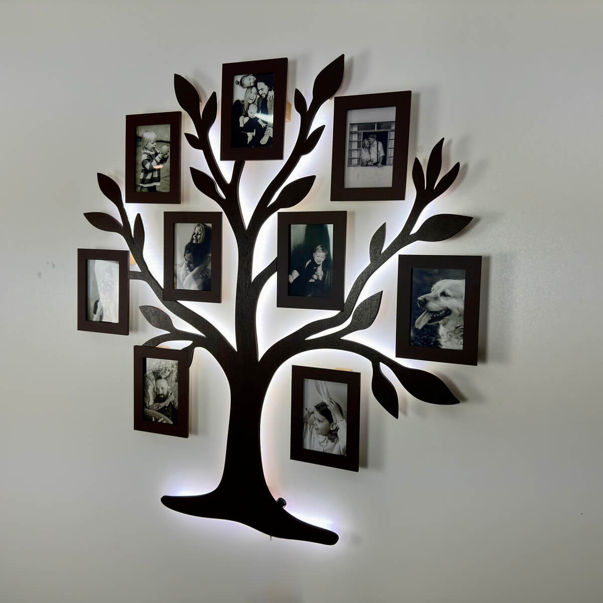 LED Family tree - Tree of life
