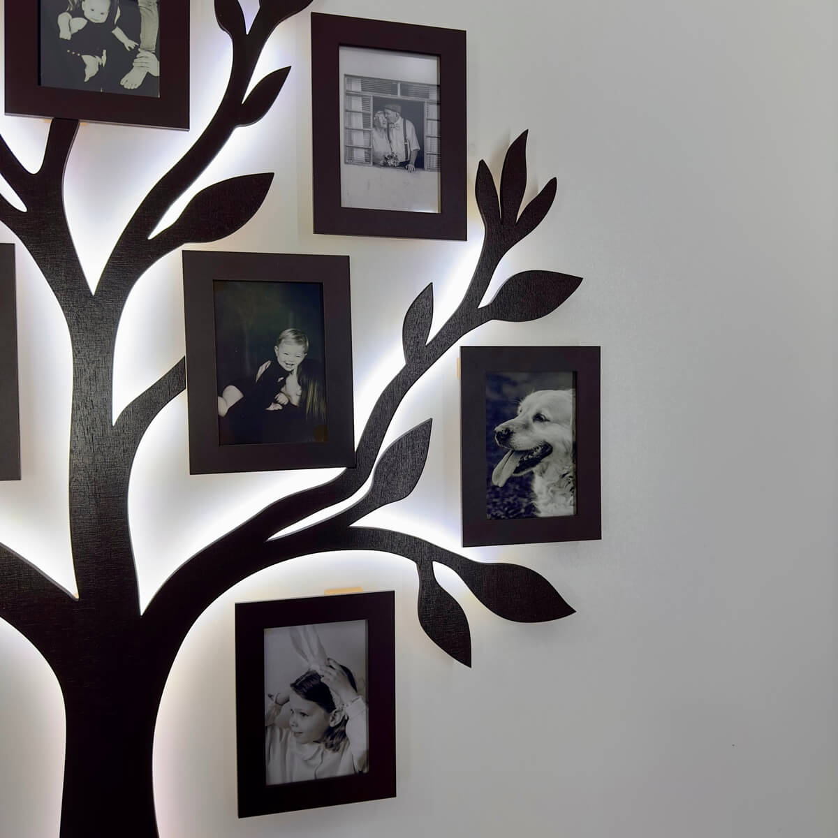 LED Family tree - Tree of life