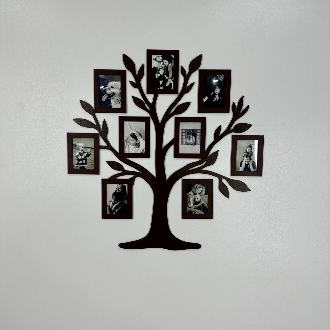 Family tree - Tree of life