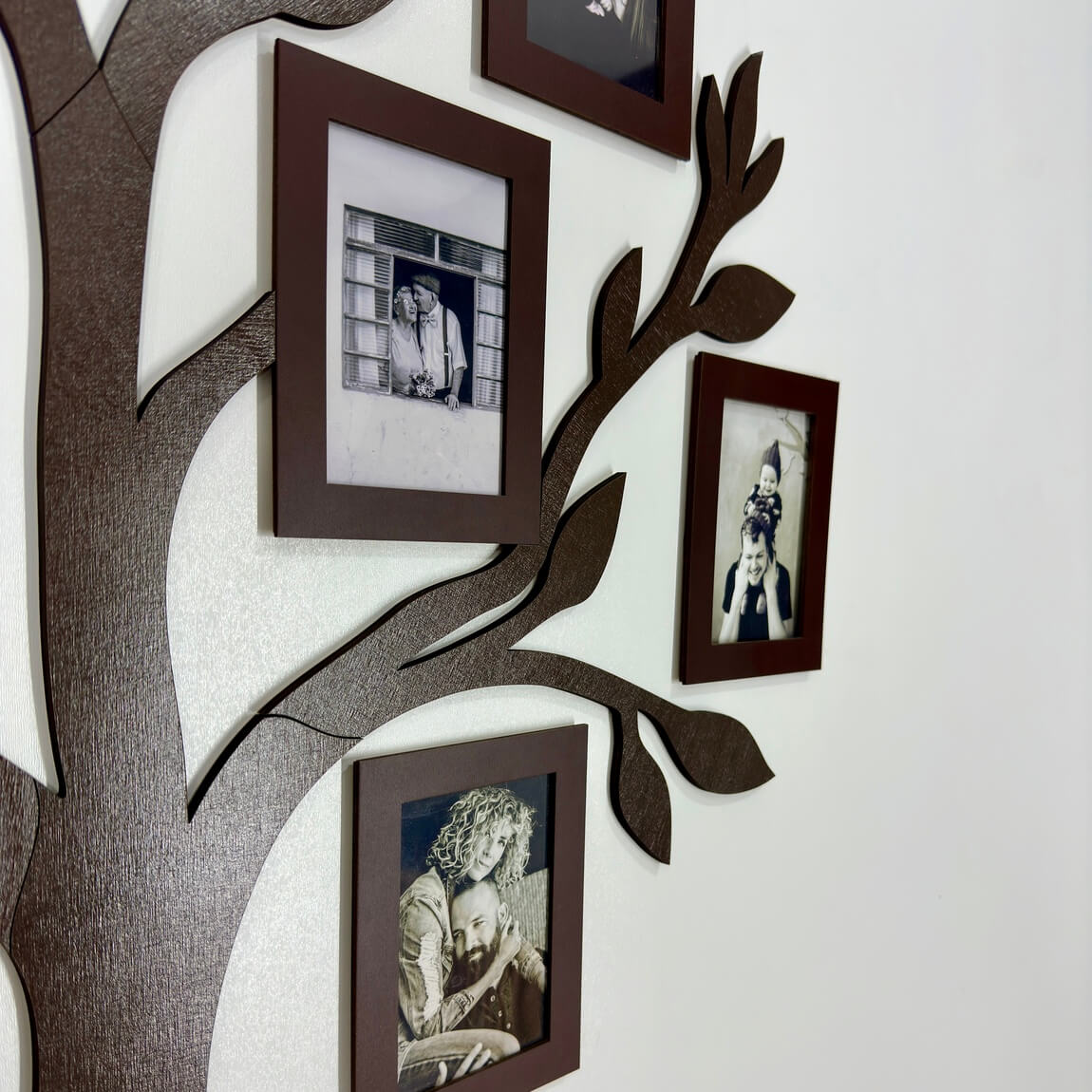 Family tree - Tree of life