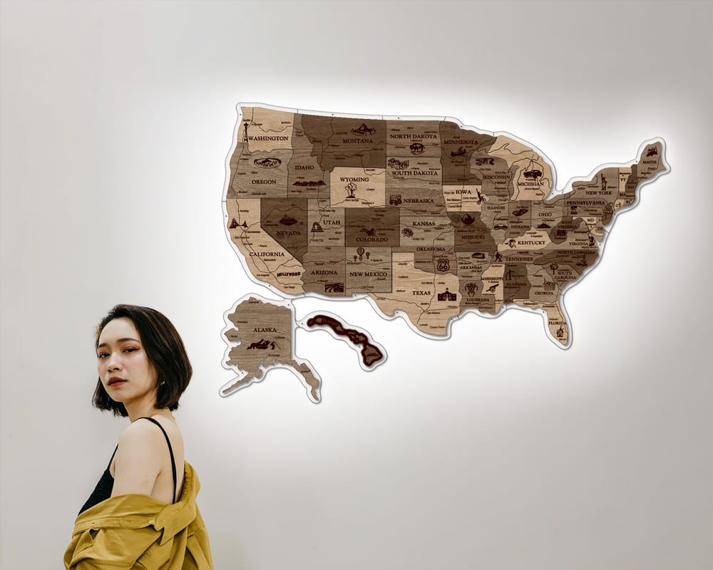 3D LED Map of USA Prime - Terra