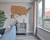 2D Map of USA Prime - Light walnut