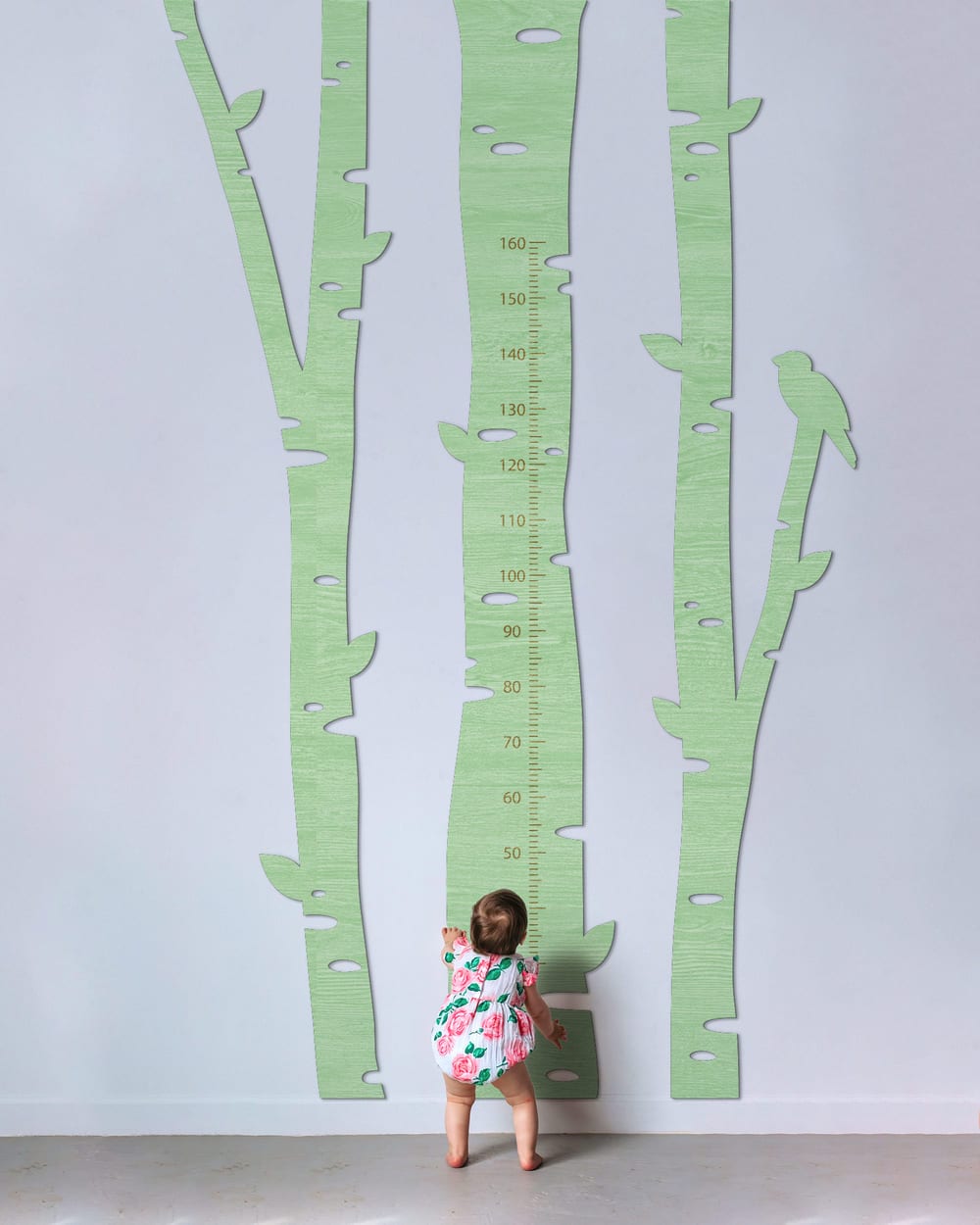 Kid`s Growth Charts - Birch