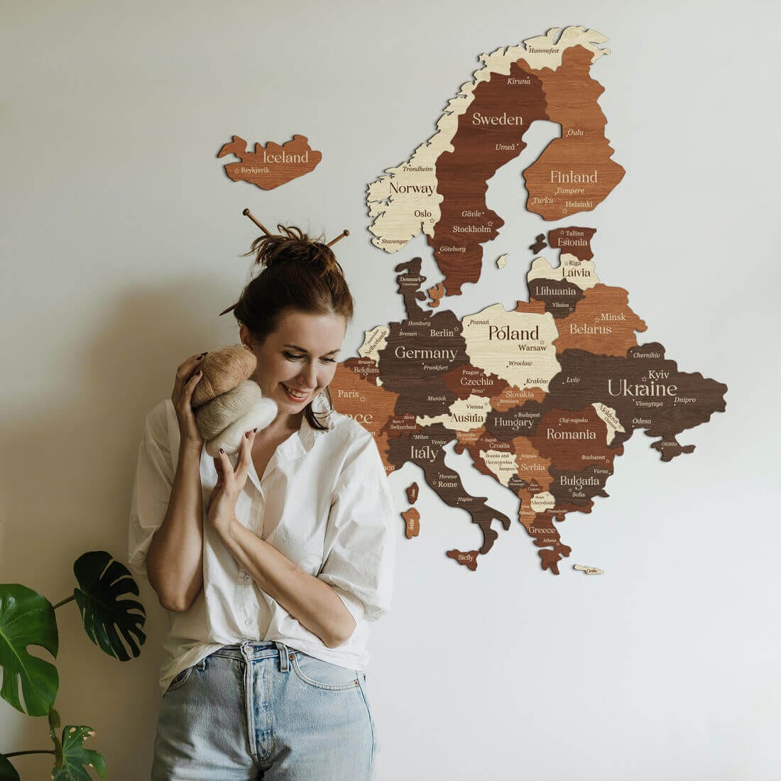 3D Europe Wooden Map - Walnut & Rosewood