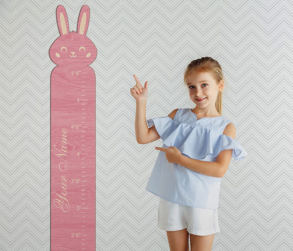 Kid`s Growth Charts - Ruler (Animals)